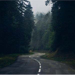 Meet your Posher, Albane